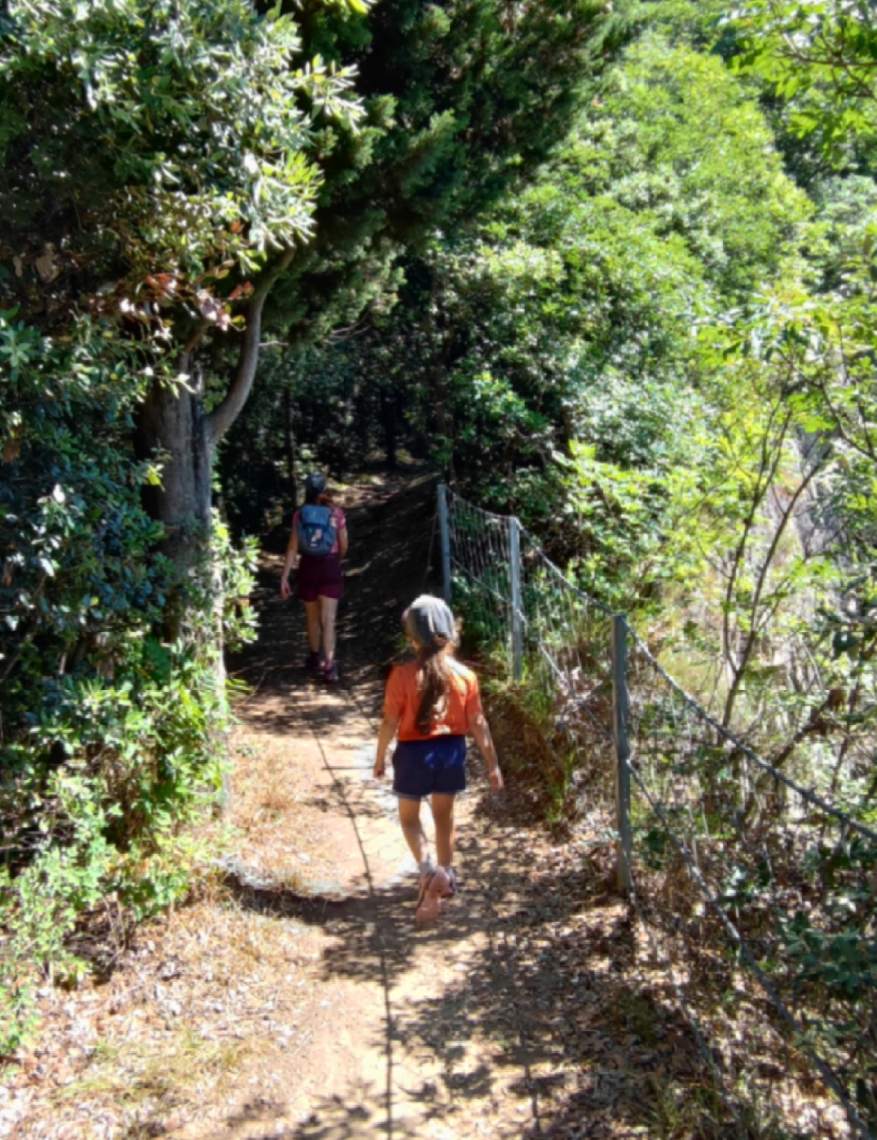 Monte Brione — monte brione · Italia